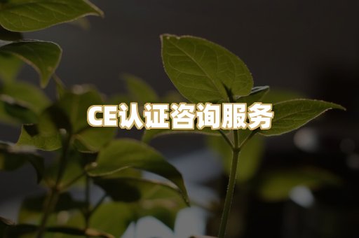 CE认证咨询服务
